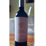 Vinos tintos de Mendoza