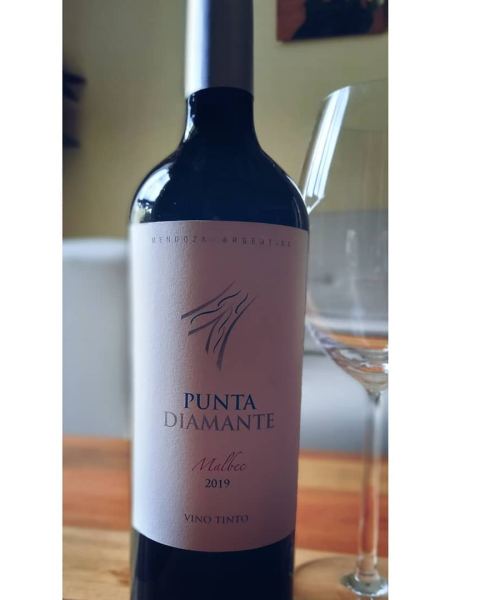 Vinos tintos de Mendoza