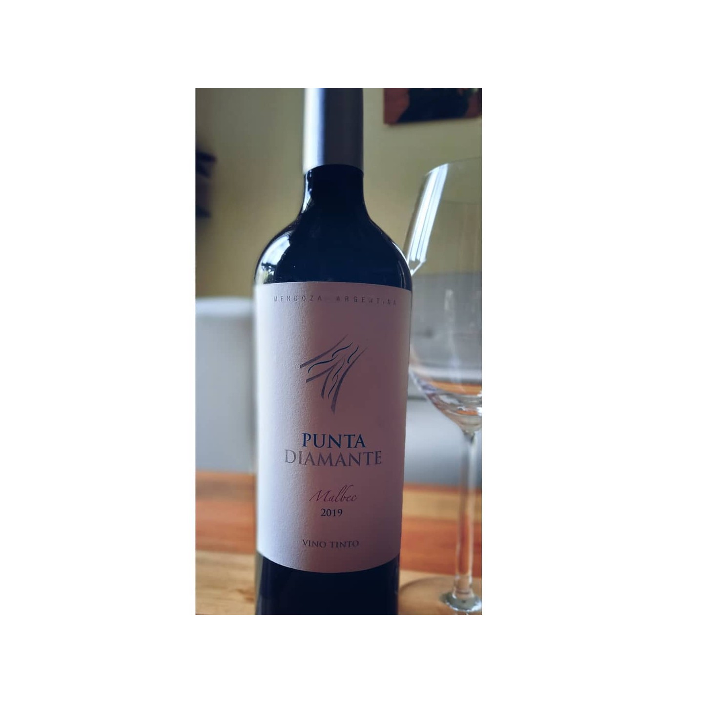 Vinos tintos de Mendoza