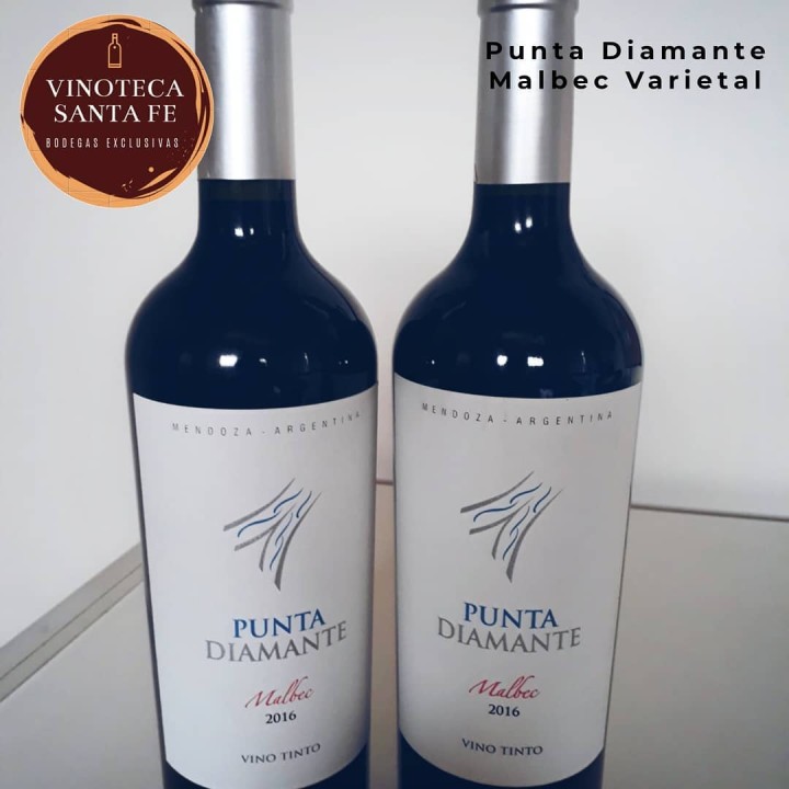 Vinos tintos de Mendoza