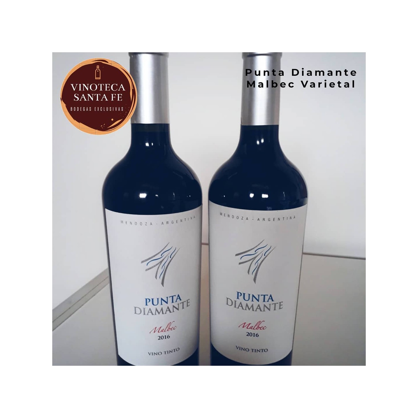 Vinos tintos de Mendoza