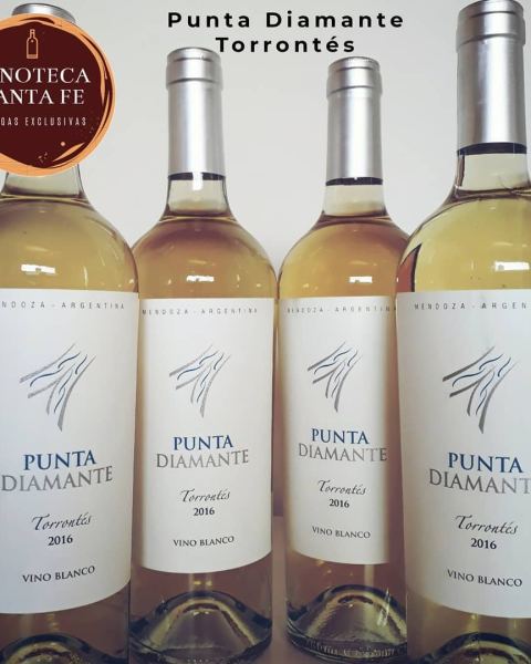 Vinos blancos de Mendoza