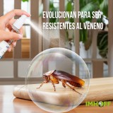 Control de insectos y cucarachas