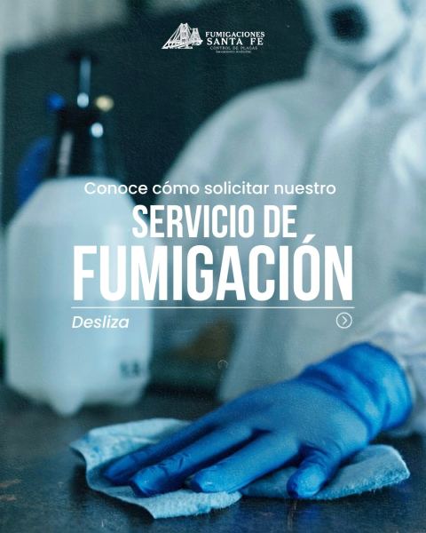 Control de plagas en hogares