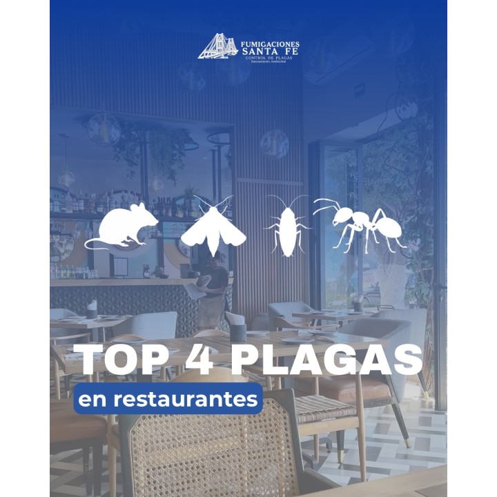 Control de plagas en comercios y empresas