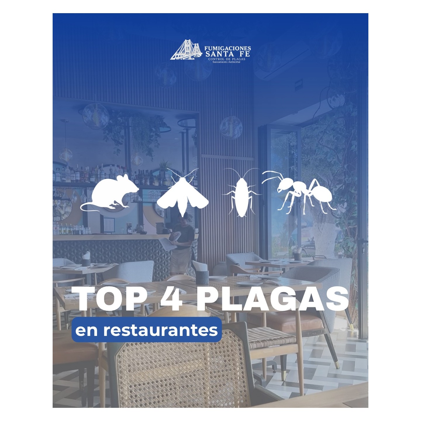 Control de plagas en comercios y empresas
