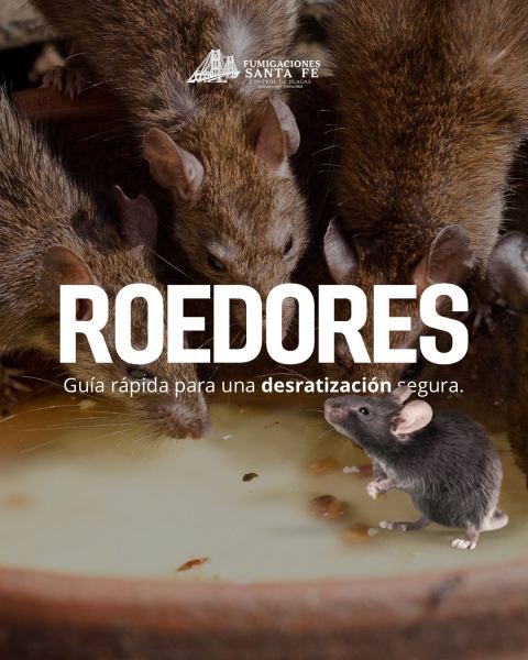 Control de roedores
