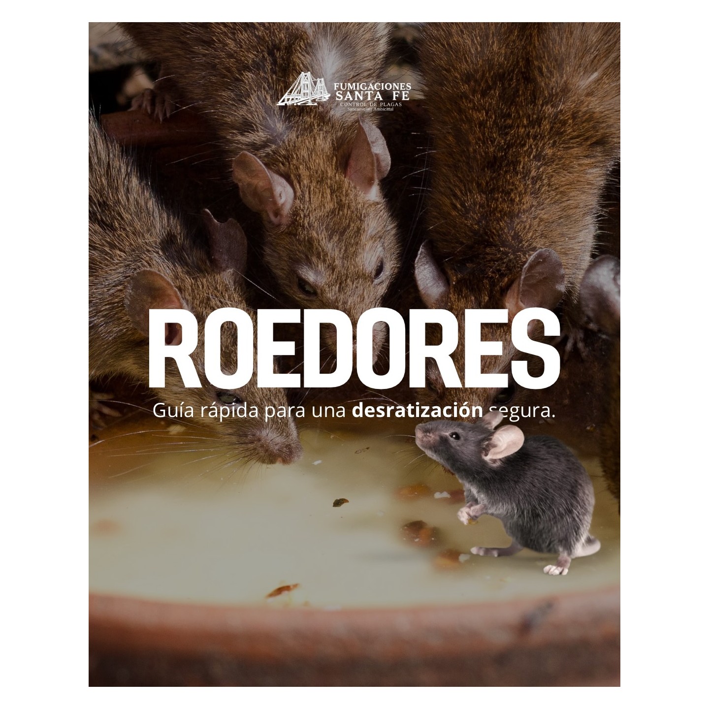Control de roedores