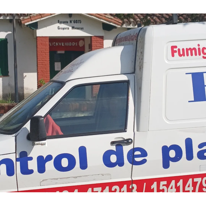 Desinsectación profesional