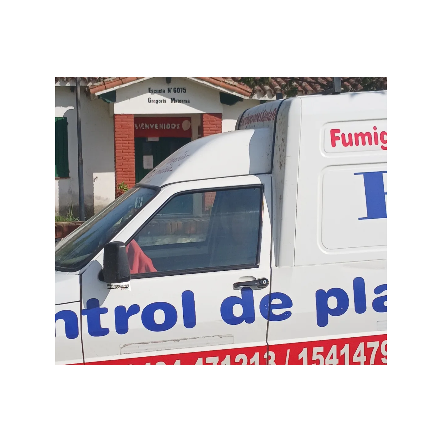 Desinsectación profesional