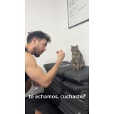 Musculación con rutinas personalizadas