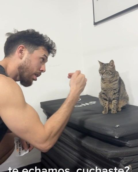 Musculación con rutinas personalizadas