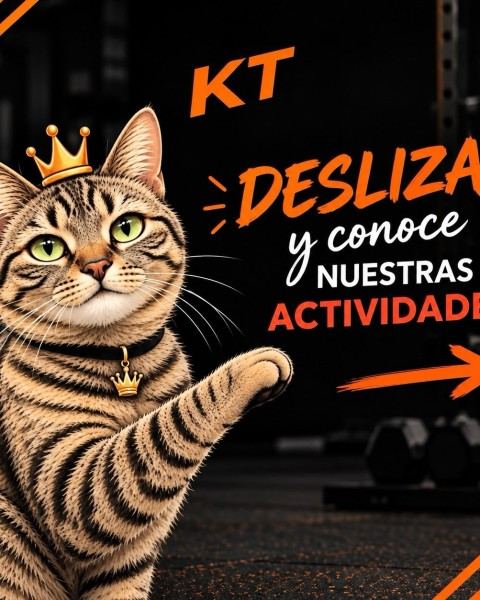 Entrenamiento funcional