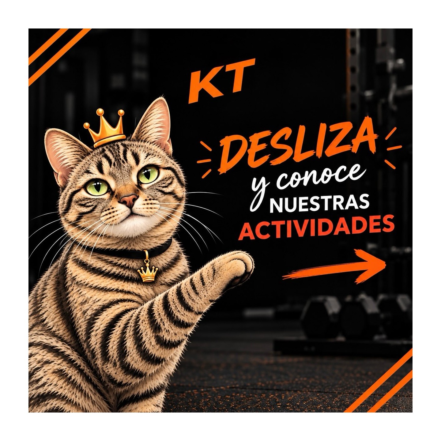 Telas y trapecio