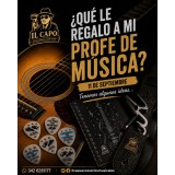 Púas, correas, fundas y accesorios musicales