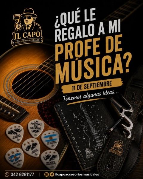 Púas, correas, fundas y accesorios musicales