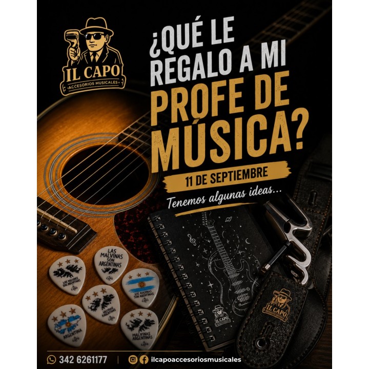 Púas, correas, fundas y accesorios musicales