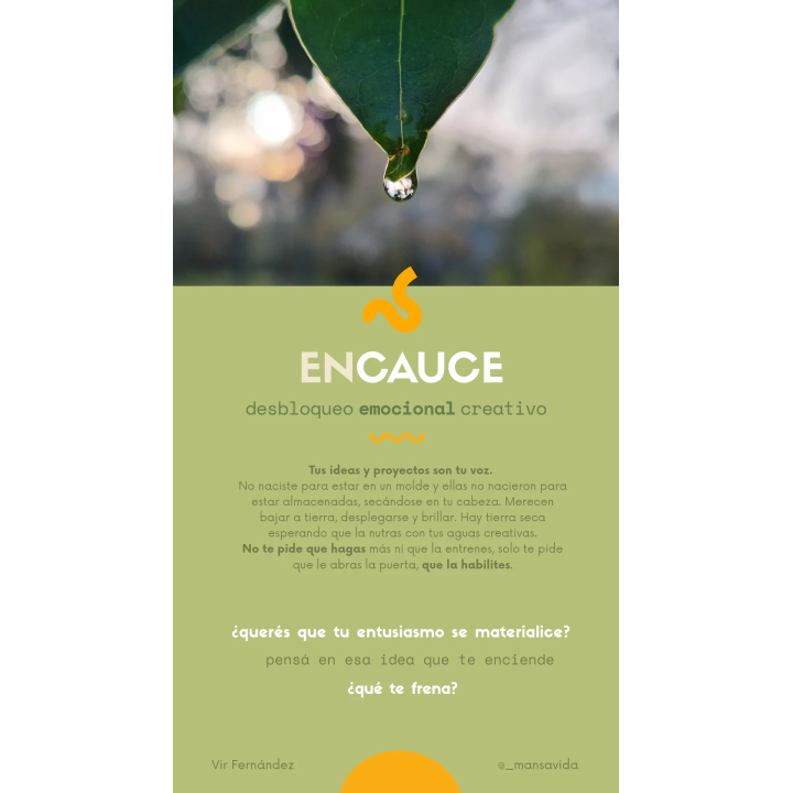 Encauce
