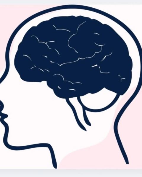 Taller de estimulación cognitiva para adultos