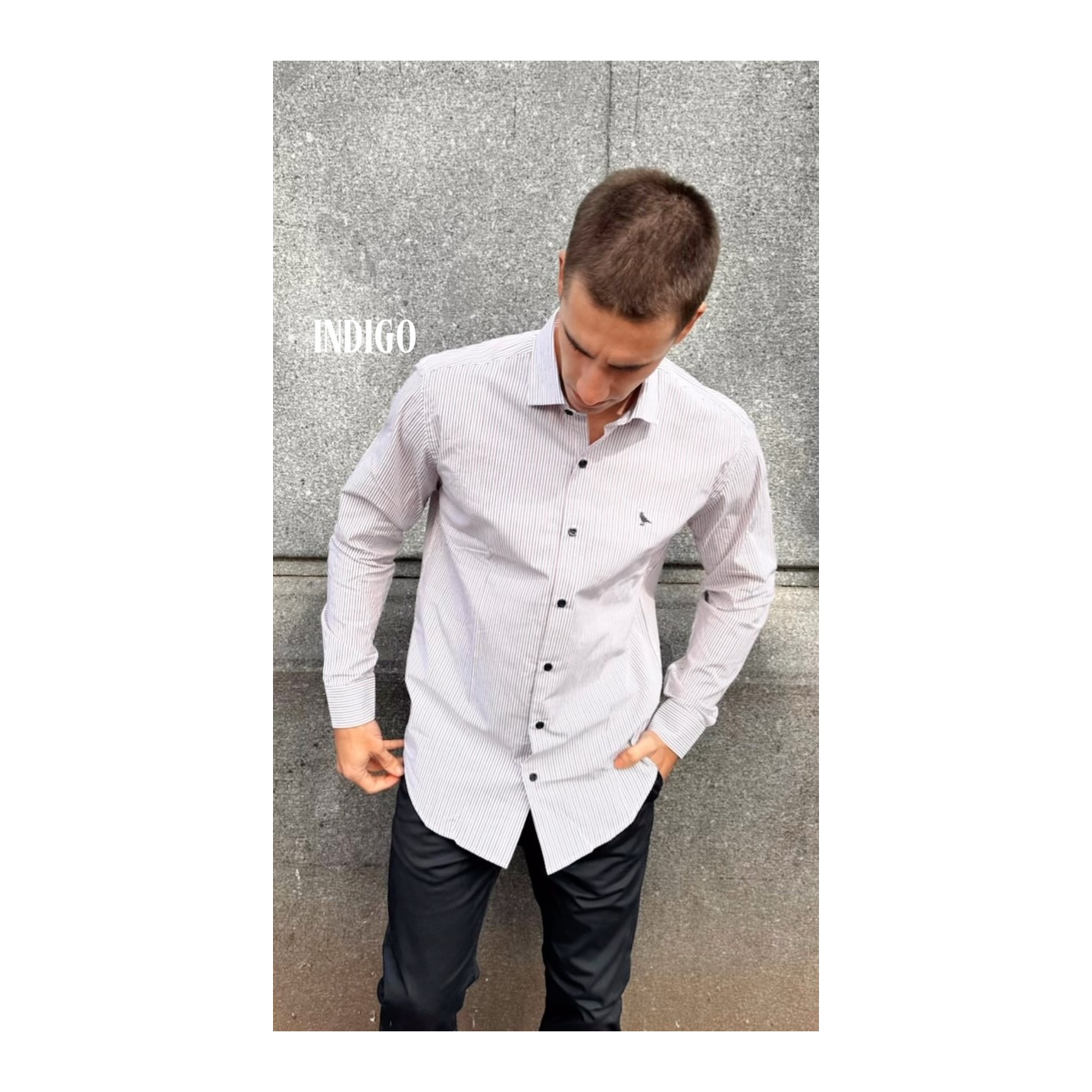 Camisas de la nueva colección