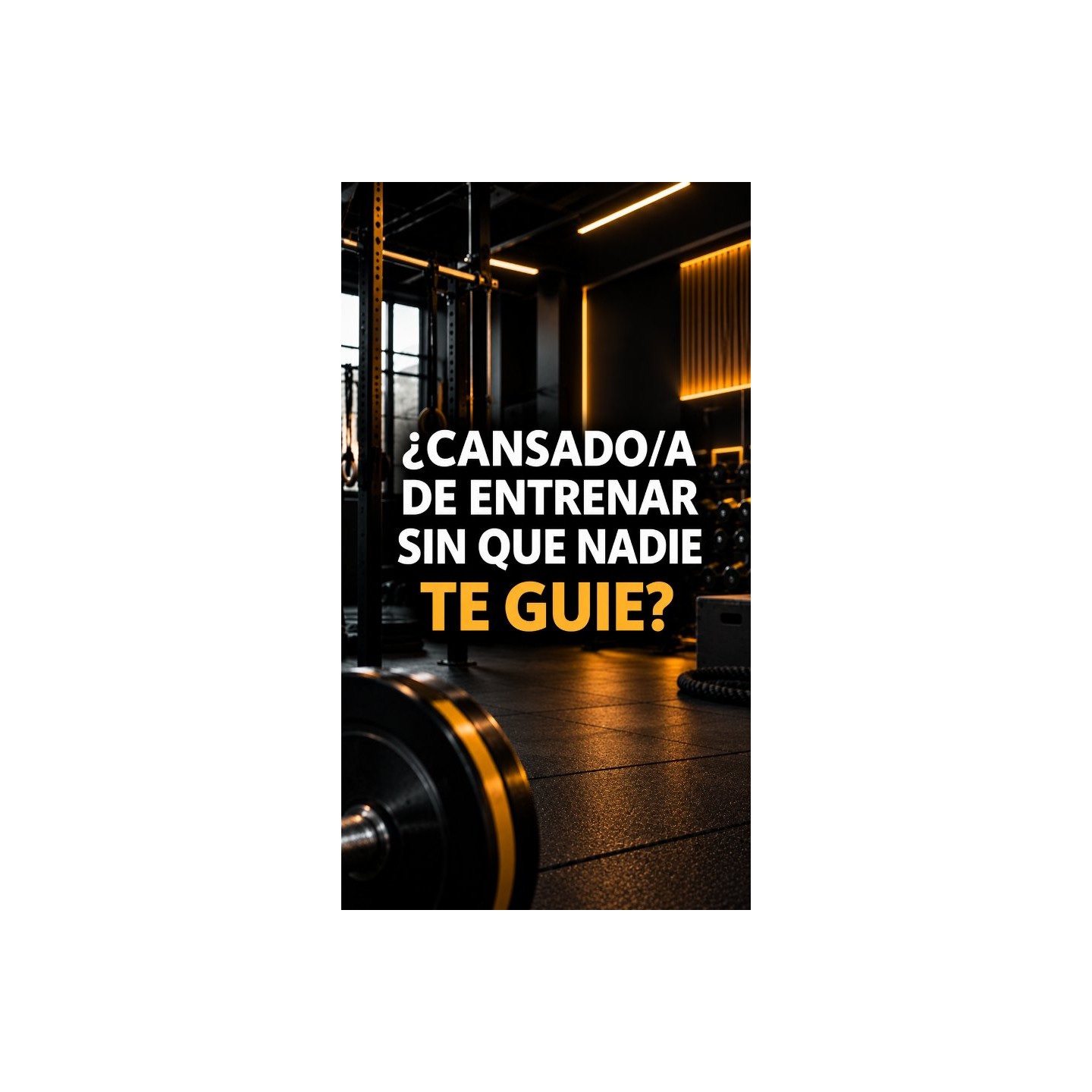 HIIT y entrenamiento controlado en grupos reducidos