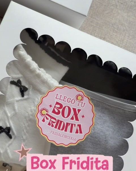Box Fridita