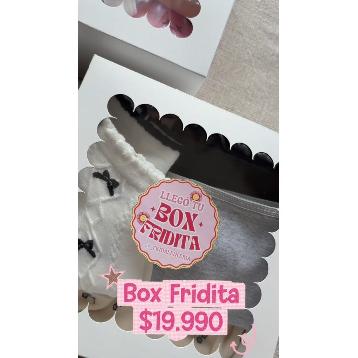 Box Fridita