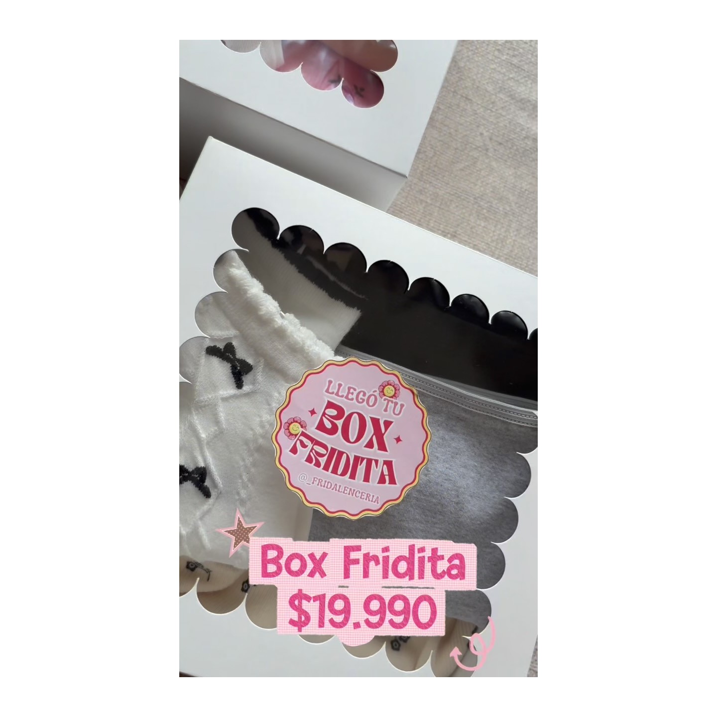 Box Fridita