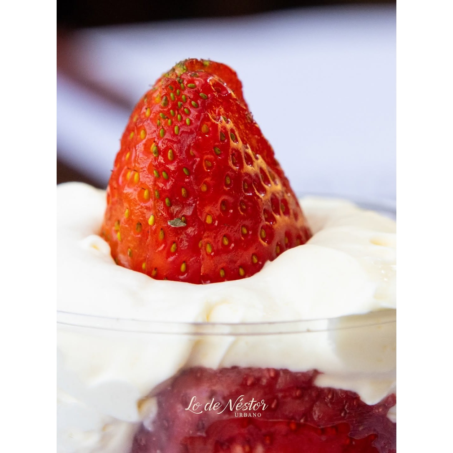 Frutillas con crema